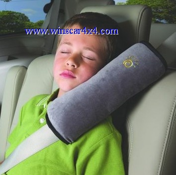 Car Pillow