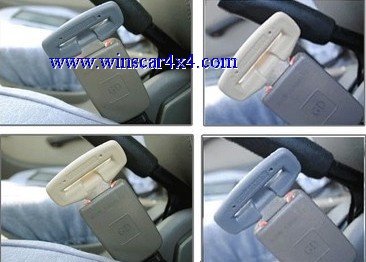 Car Buckle Latch/ Buckle Pin